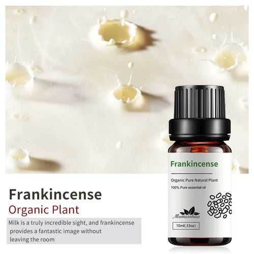 Aceite Esencial | Templanza y Recuperación