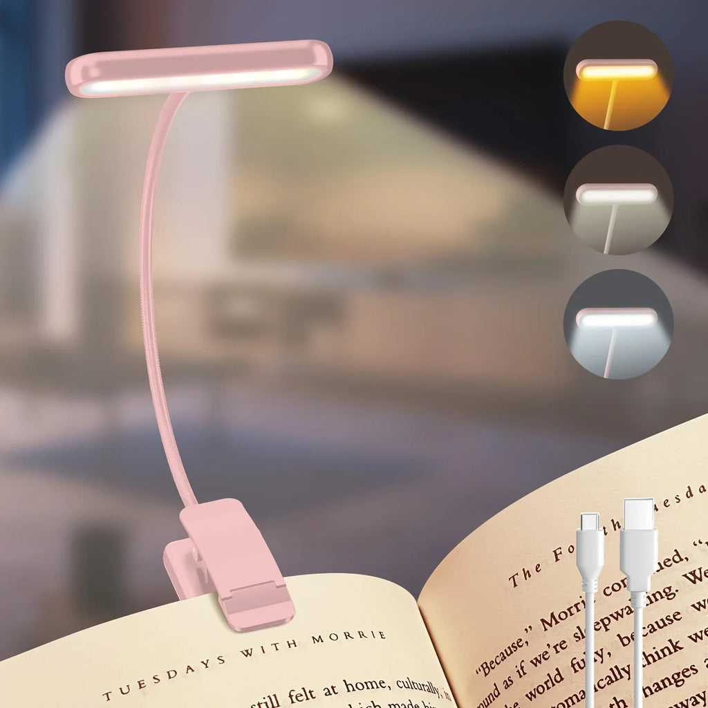 Luz de Lectura | Disciplina y Aprendizaje