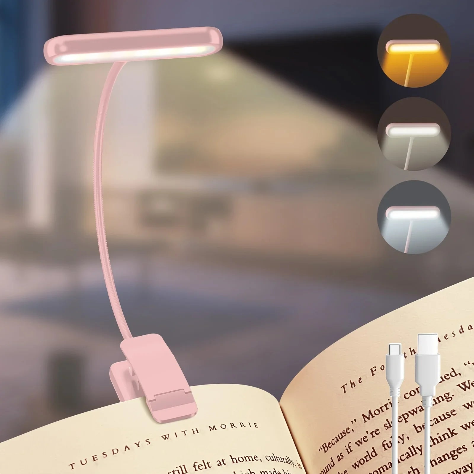 Luz de Lectura | Disciplina y Aprendizaje